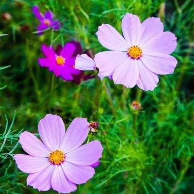 向左向右挑战赛